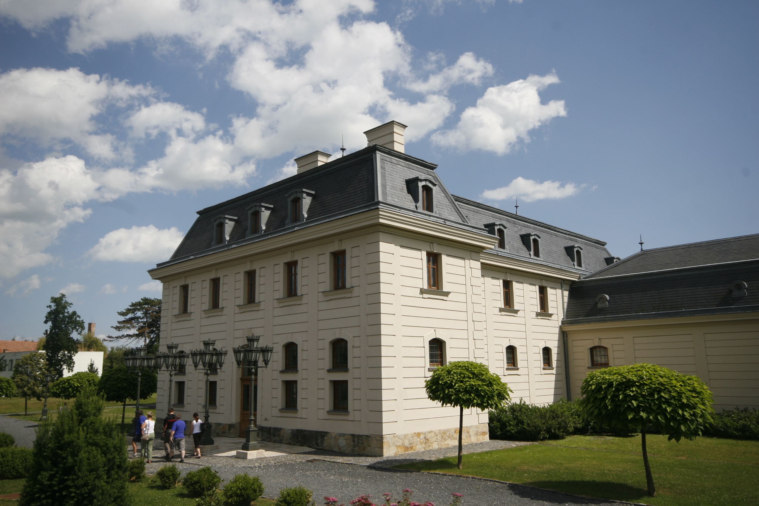 _MG_7849.JPG